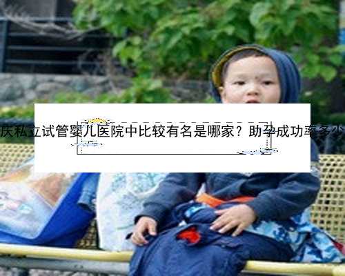 重庆私立试管婴儿医院中比较有名是哪家？助孕成功率多少？