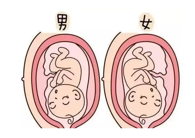代孕中心谁做过_二胎可以选择代孕吗_子宫内膜异位症影响试管吗