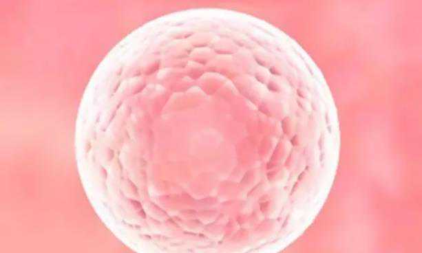 卵巢早衰代孕包成功_代孕产子费用包性别_三代试管养囊成功比例，五天是为啥