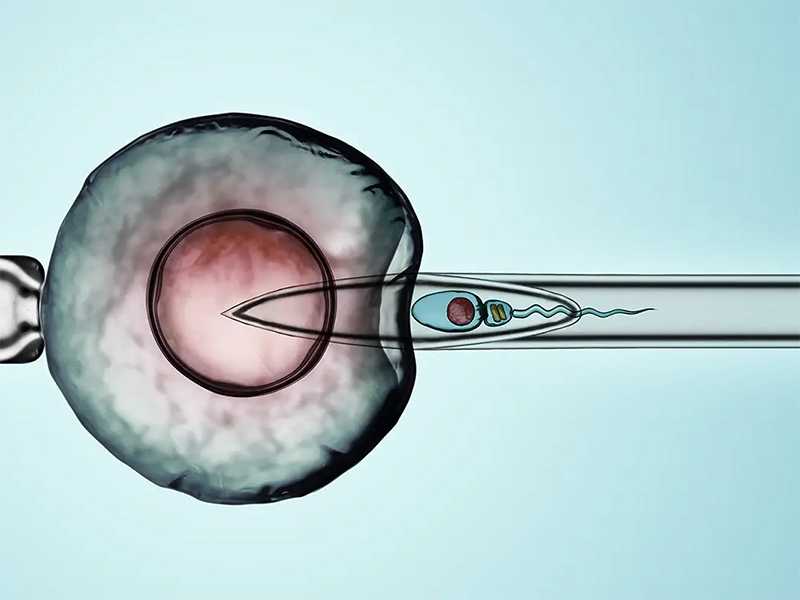 自卵代孕_做代孕前的准备_做试管婴儿最关键是哪一步:女人生育和年龄有什么关
