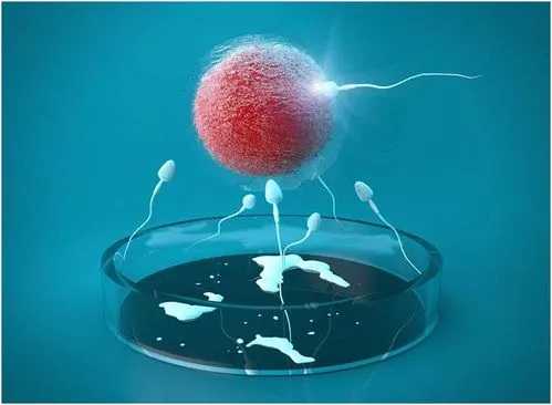 第三代试管代孕可以选男女吗_代孕是先找代母还是先做胚胎_泰国三代试管婴儿